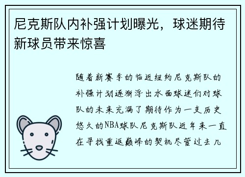 尼克斯队内补强计划曝光，球迷期待新球员带来惊喜